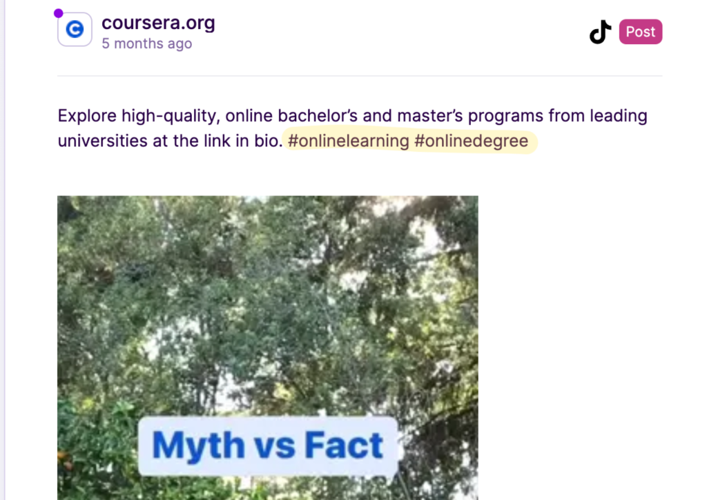 Tik Tok monitoring - The Ultimate Guide [+ Best Tools] - Competitors App