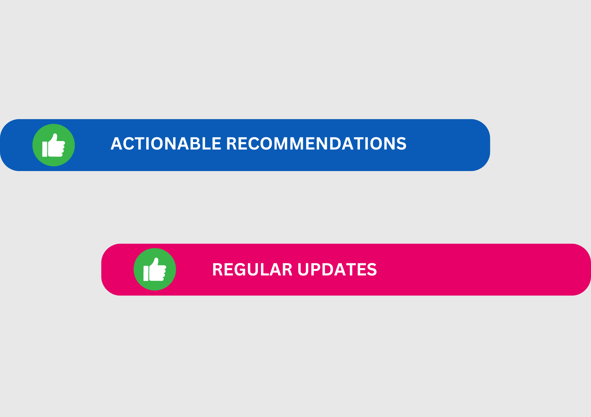 Actionable recommendations and regular SERP updates